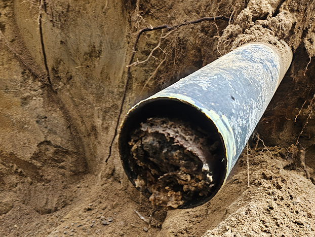 Drain français Arthabaska